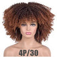 Female Hair African Small Curly Hair Explosion Head Black Chemical Fiber Wig Full Head Set