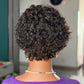 Curly Pixie Cut Lace Wig Human Hair